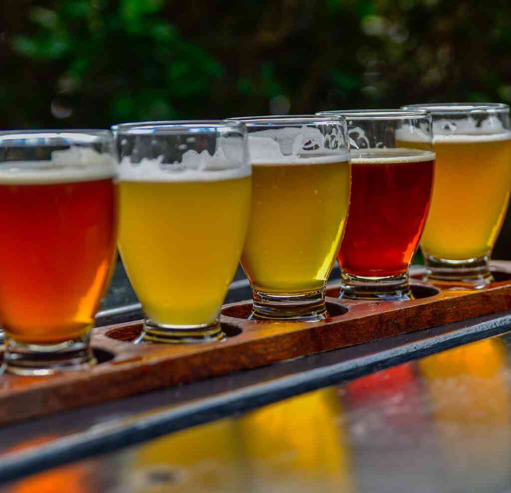 5 alcohol free craft beers on a paddle